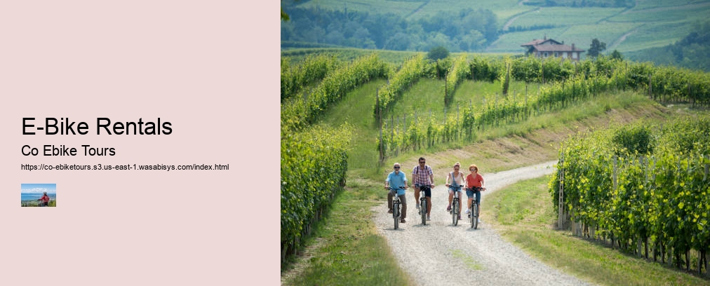 E-Bike Rentals